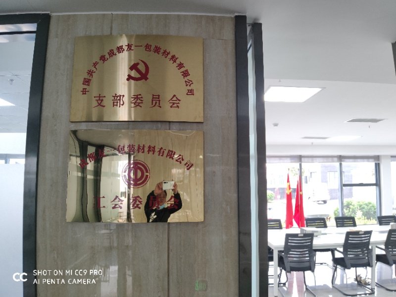 热烈祝贺龙8头号玩家集团成都分公司党支部在2020年3月11日授牌成立，支部书记曹云(行政部经理)